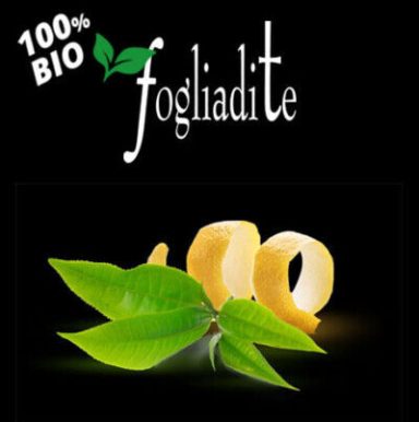 Grüner Tee in Zitronenblatt Fogliadite 100% BIO