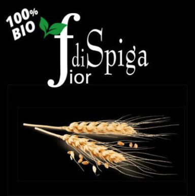 Bio lösliche Gerste FiordiSpiga 100% BIO